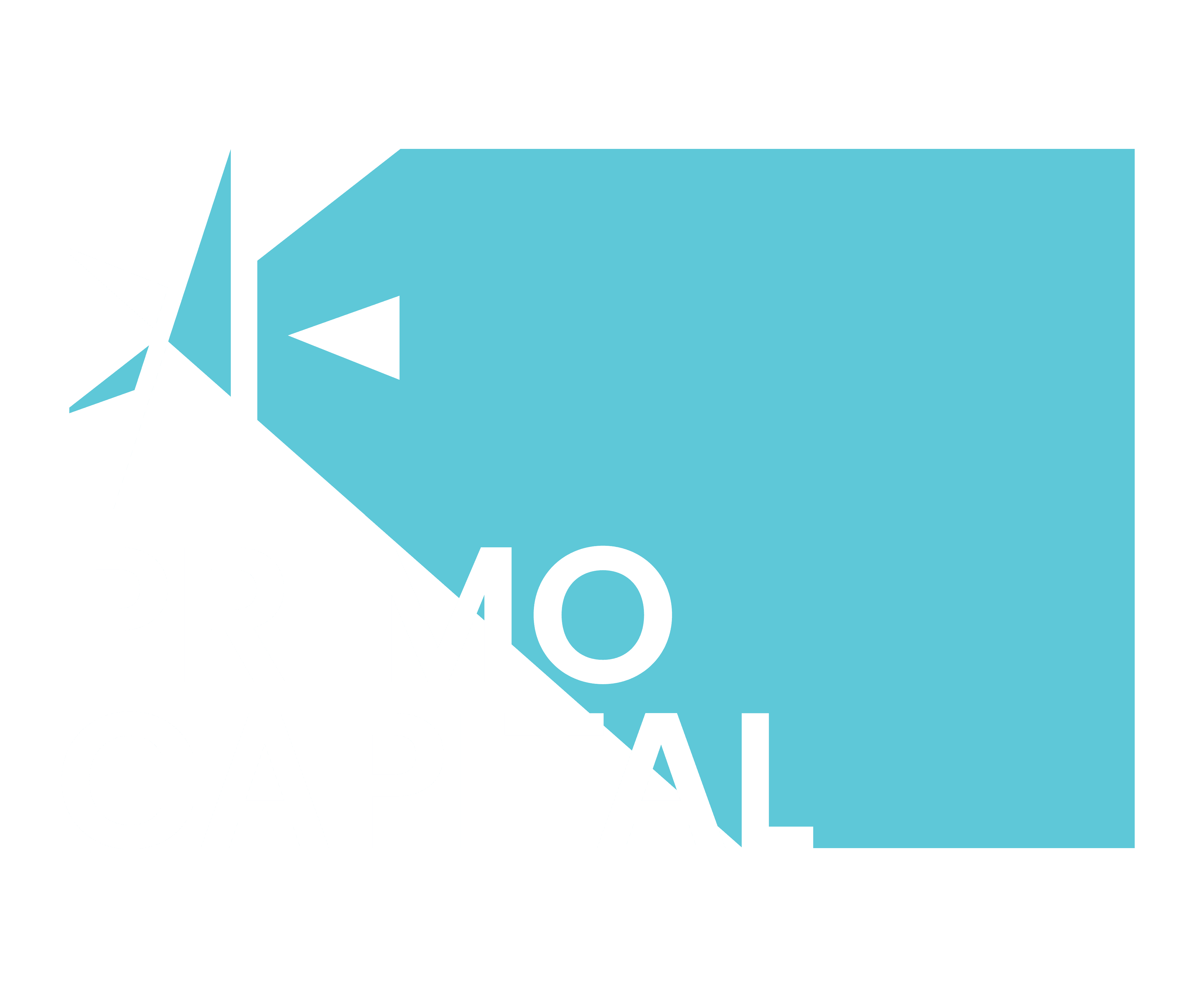 investors